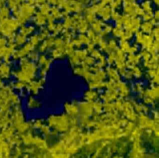 Satellitenbild Chiemgau