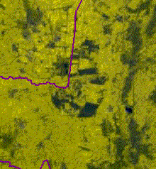 Animiertes Gif-bild mit Kreisen